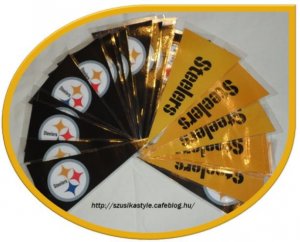 Steelers3